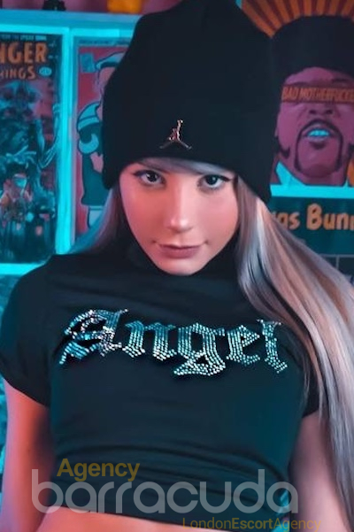 second image of Anser