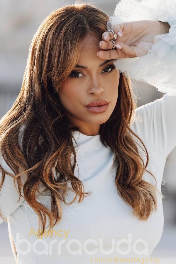 second image of Morela