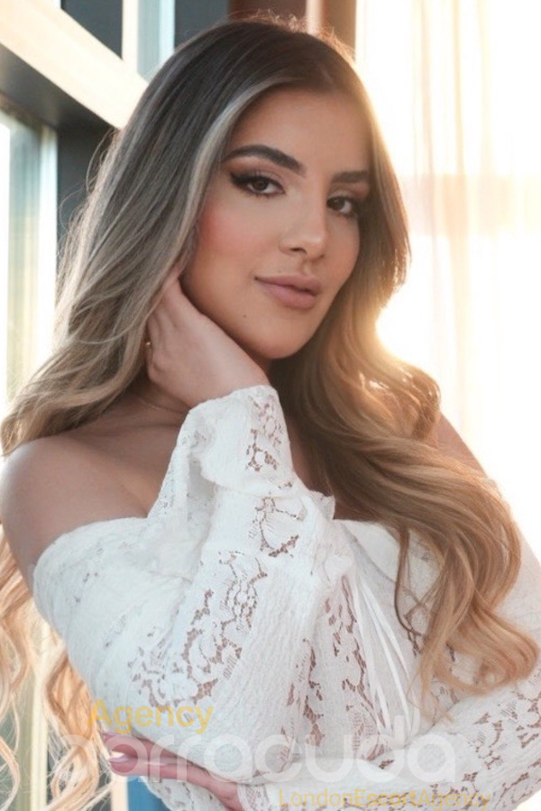 second image of Novelli