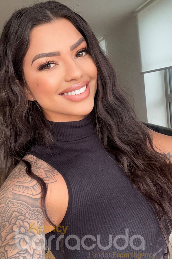 second image of Bravo