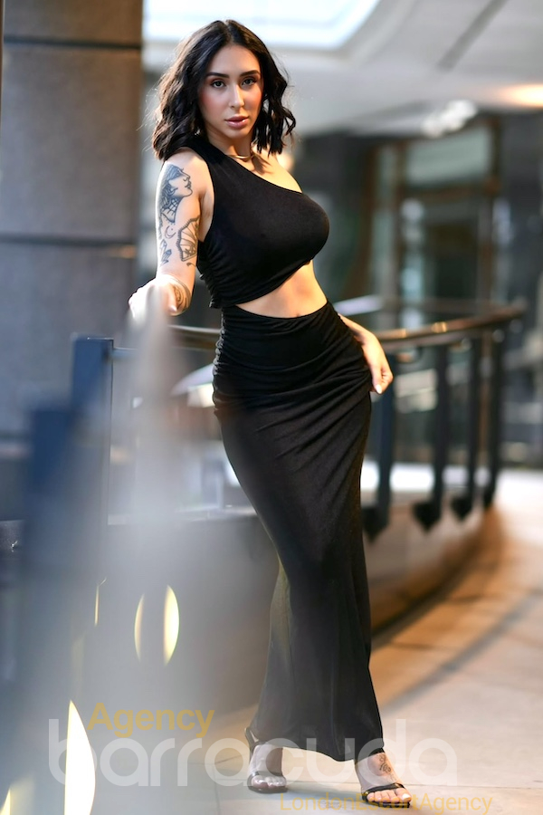 Tilly - Foto 12