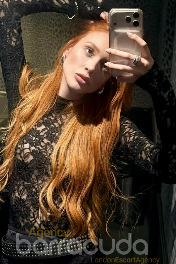 Stellary - Photo 21