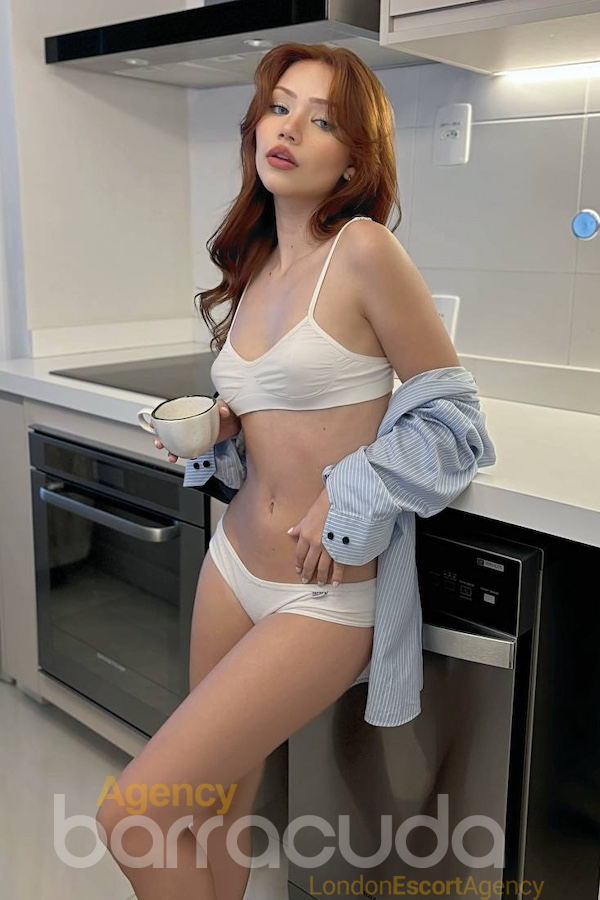Belva - Foto 13