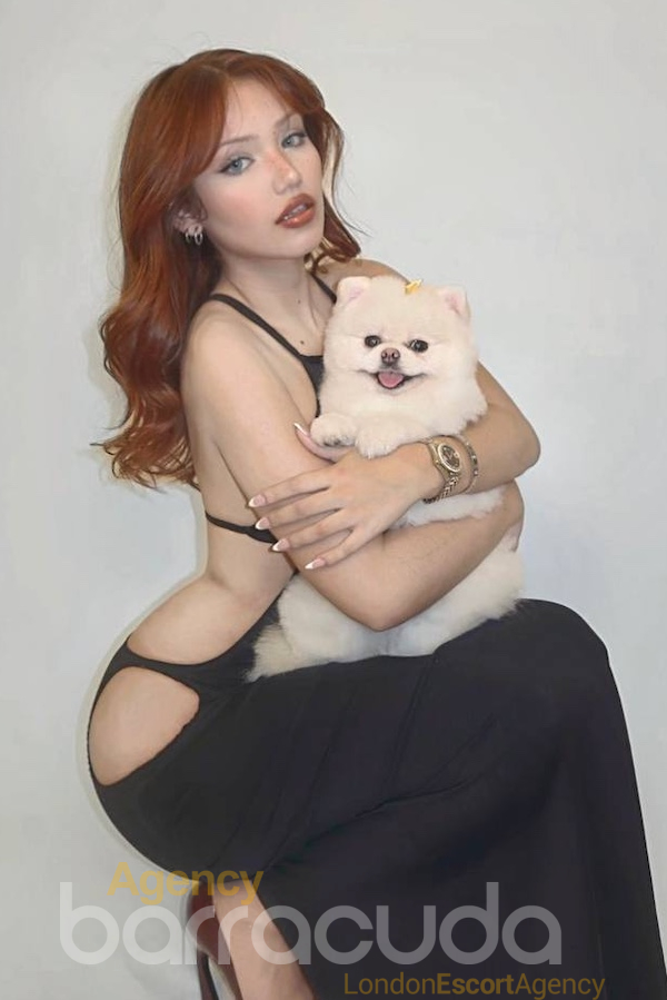 Belva - Foto 8