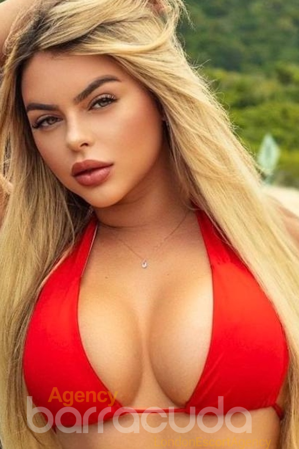 second image of Puran