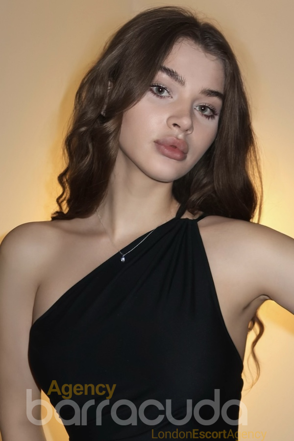 second image of Danix