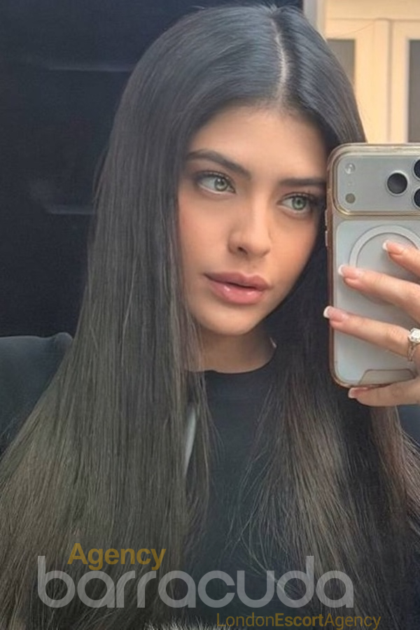 second image of Cuddles