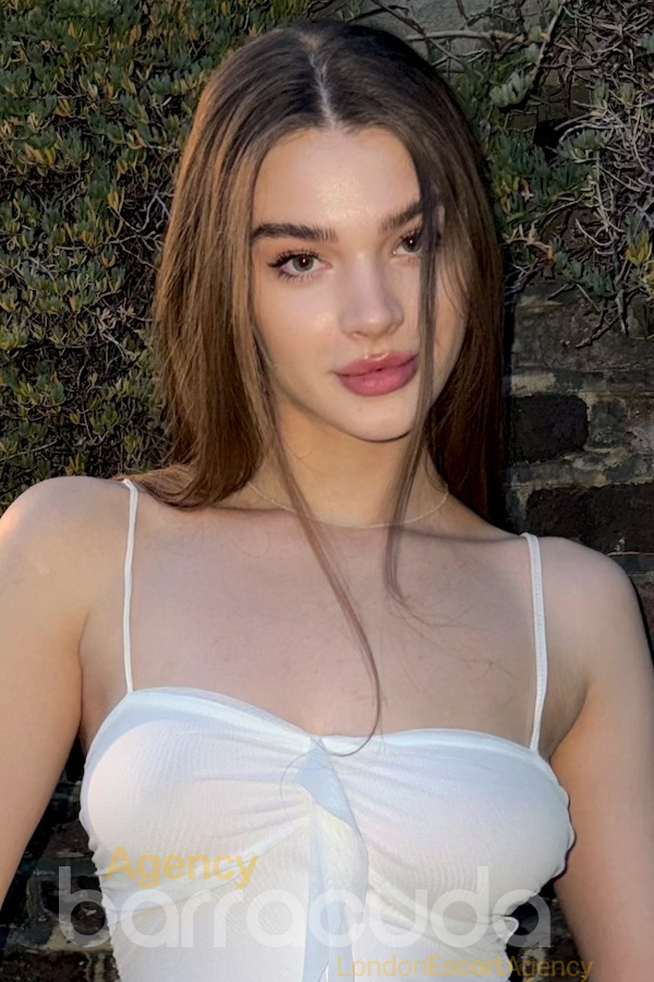 second image of Danix