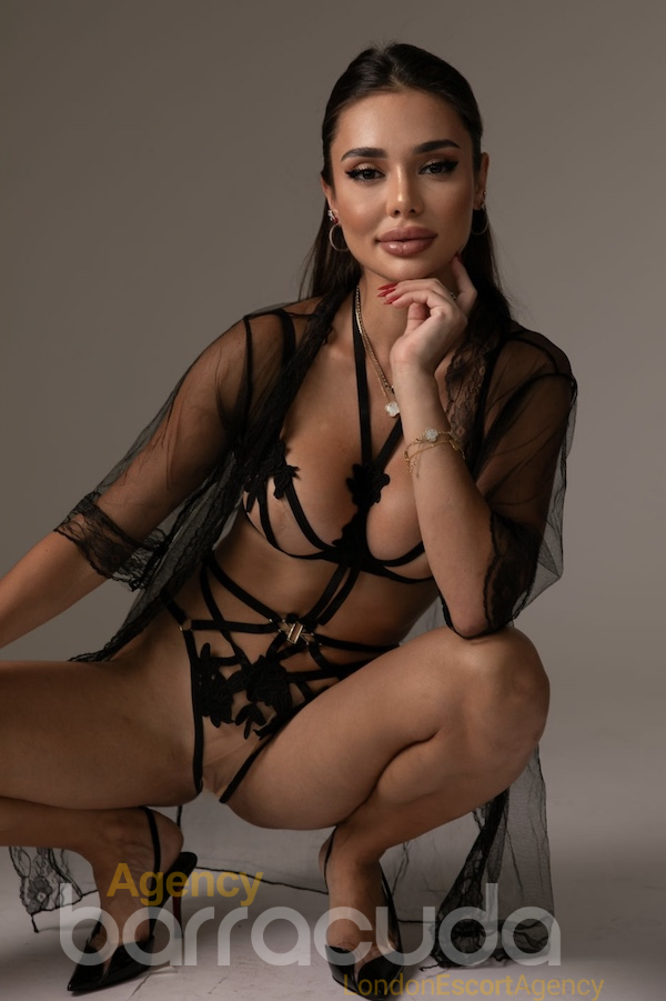 Alba - Foto 6