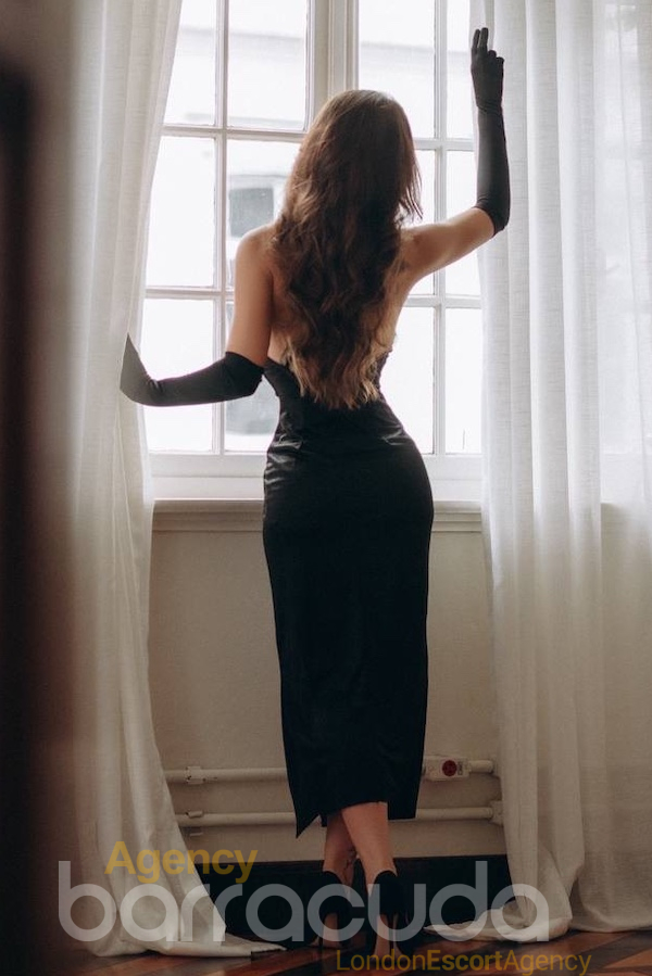 Furina - Photo 11