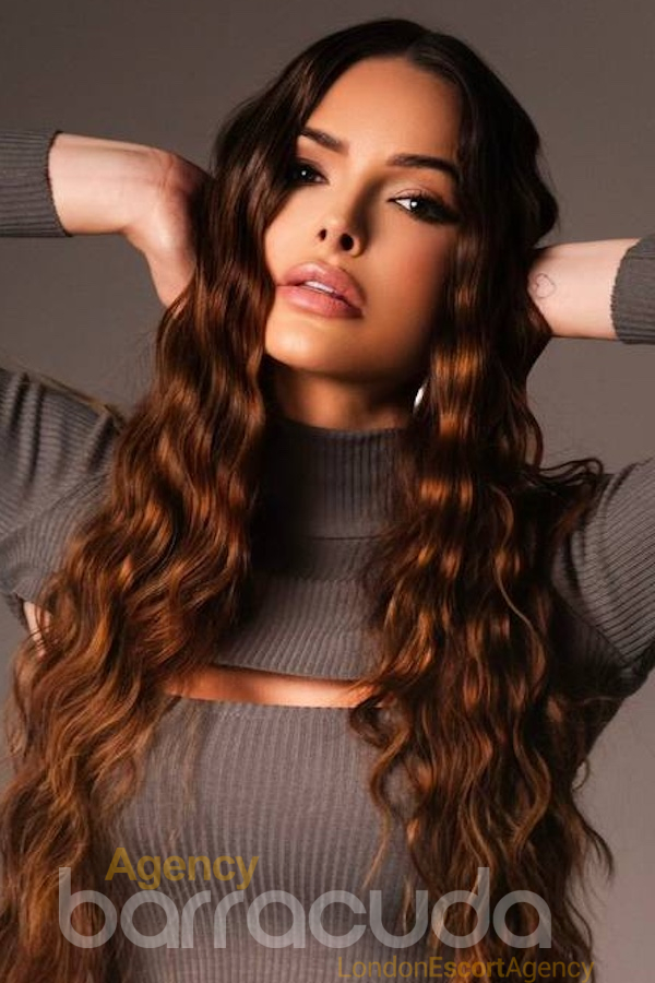 second image of Maine