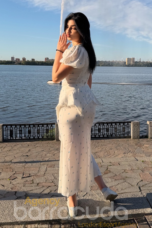 Emilia - Foto 30