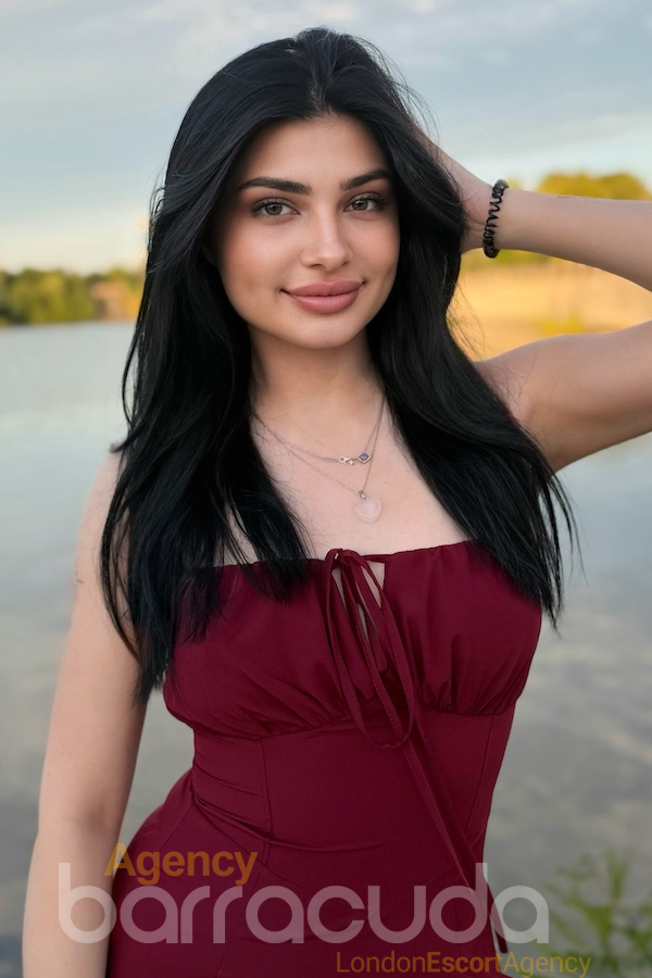 Emilia - Foto 21