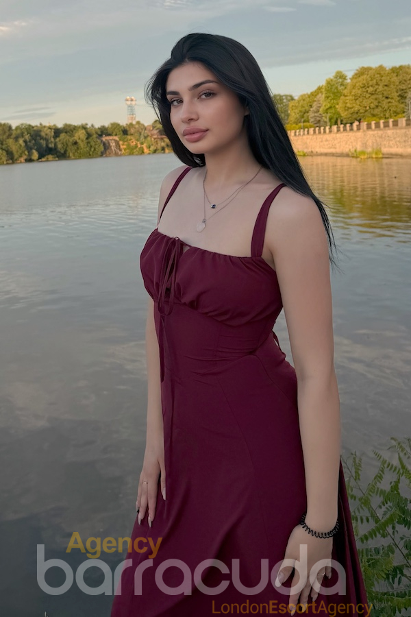 Emilia - Foto 29