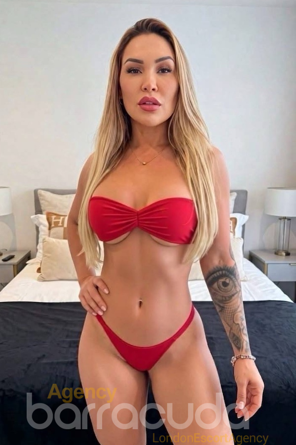 Lewis - 30yo - Brazilian Escort