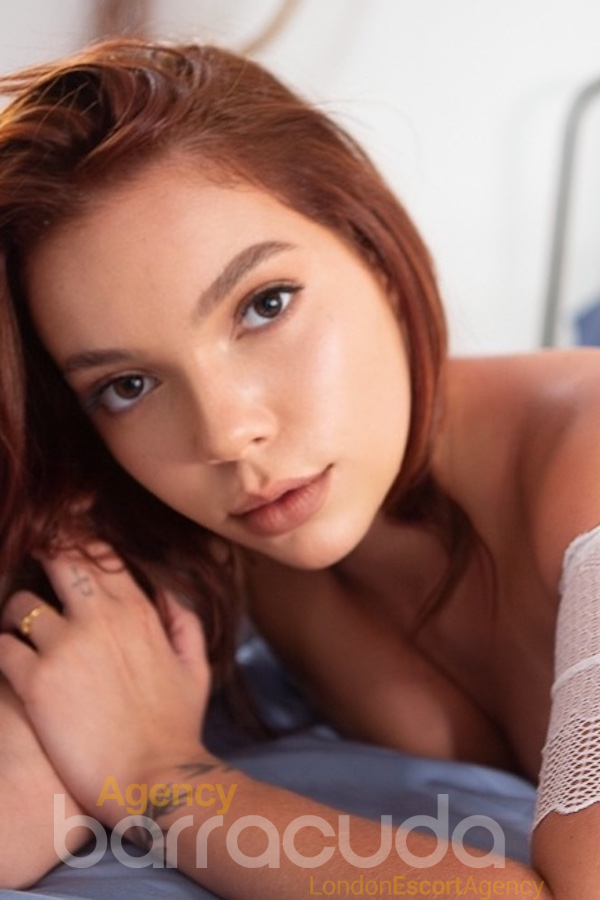Trella - Photo 2