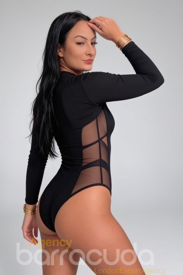 Nivela - Foto 4