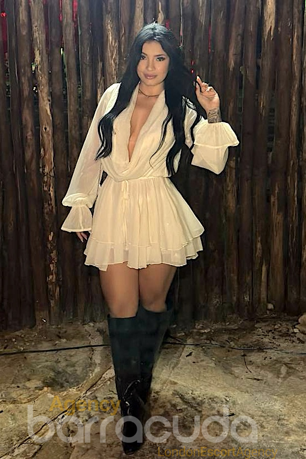 Remi - Photo 3