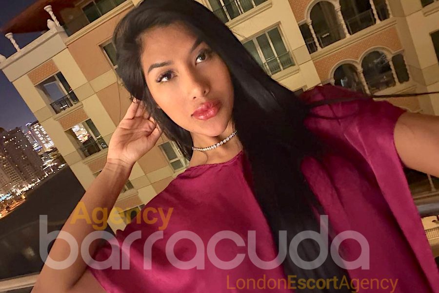 Tirena - Photo 8