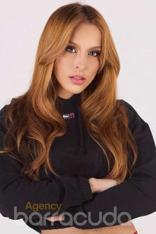 Capa - Photo 2