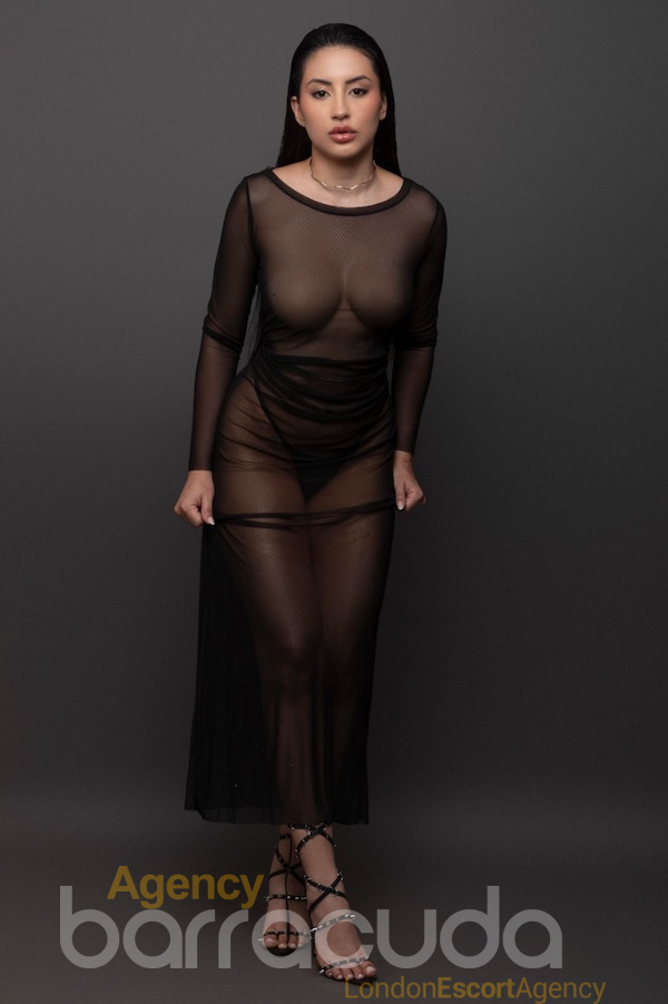 Elvira - Photo 19