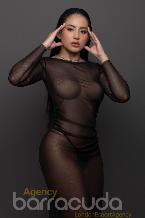 Elvira - Photo 8