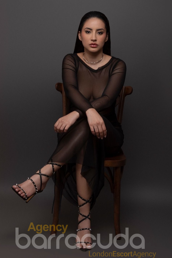 Elvira - Photo 17