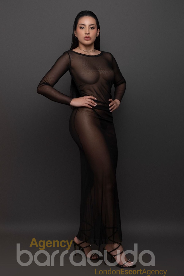 Elvira - Photo 13